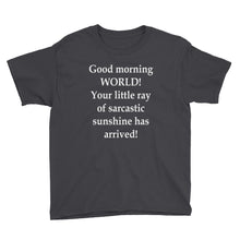 Your Little Ray of Sarcastic Sunshine Youth Short Sleeve T-Shirt