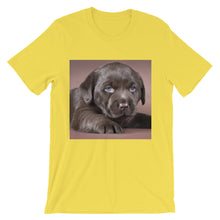 Puppy t-shirt