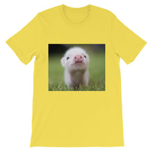 Piglet t-shirt