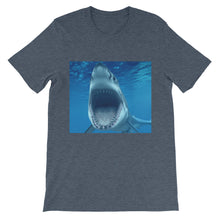 Shark t-shirt