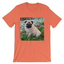 Pug t-shirt
