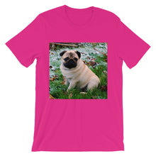 Pug t-shirt