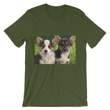 Corgis t-shirt