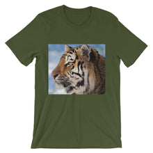 Tiger t-shirt