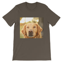 Dog t-shirt
