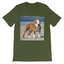 Dog t-shirt
