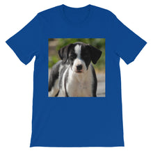 Dog t-shirt