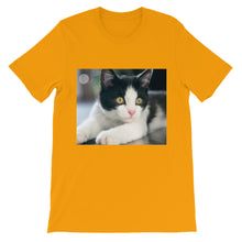 Kitten t-shirt