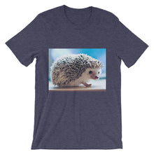 Hedgehog t-shirt