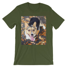 Corgi t-shirt