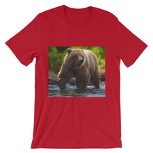 Bear t-shirt