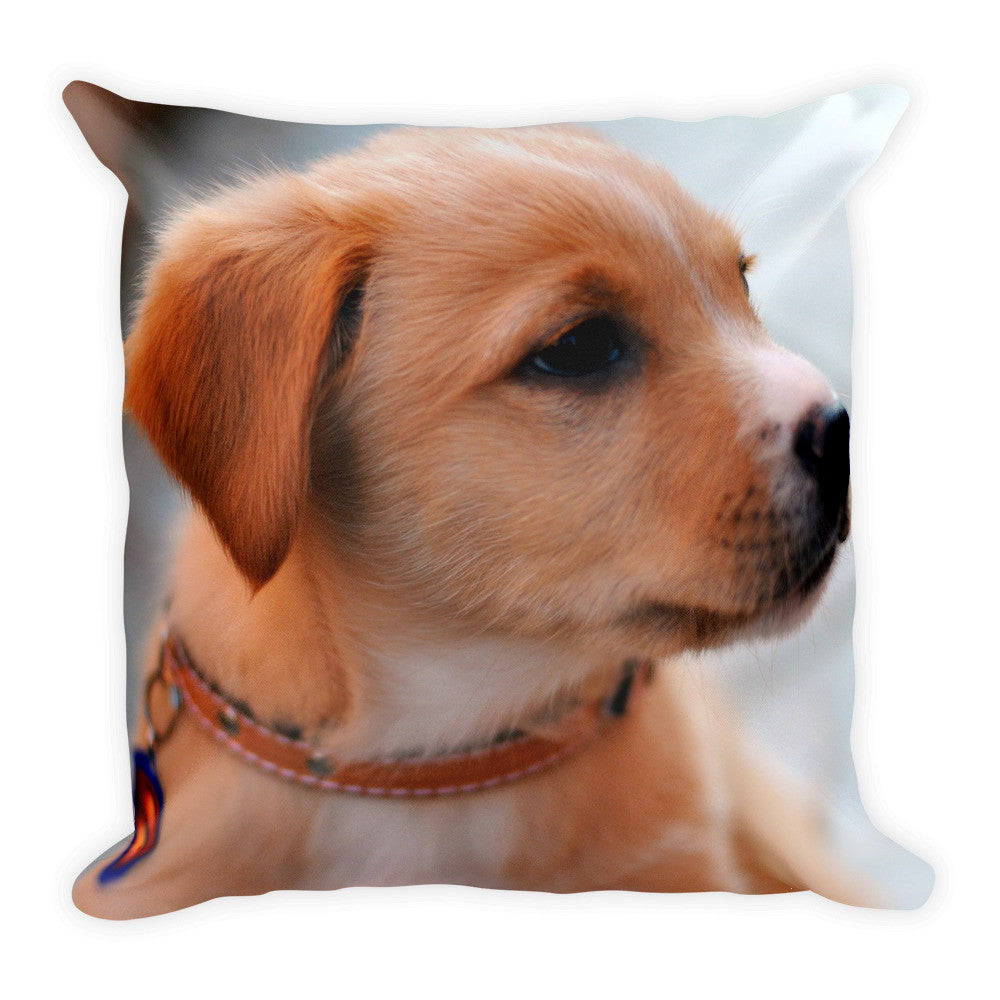 Puppy Pillow