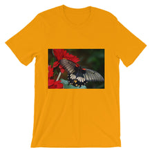 Butterfly t-shirt