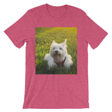 Dog t-shirt