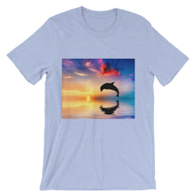 Dolphin t-shirt
