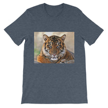 Tiger t-shirt