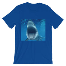 Shark t-shirt