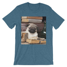 Pug t-shirt