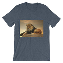 Lion t-shirt