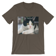 Kitten t-shirt