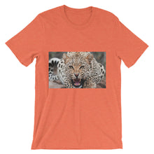 Leopard t-shirt