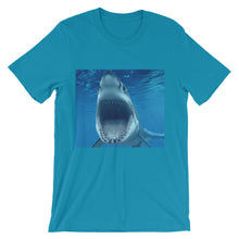 Shark t-shirt