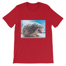 Hedgehog t-shirt