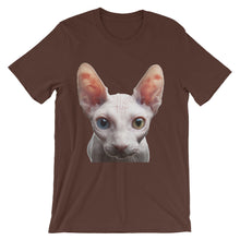 Cat t-shirt