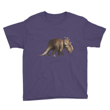 Dinosaur Youth Short Sleeve T-Shirt