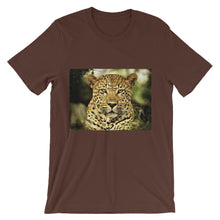 Leopard t-shirt