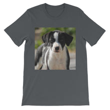 Dog t-shirt