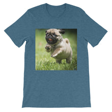 Pug t-shirt
