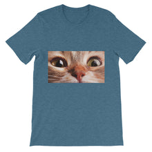 Cat t-shirt