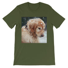 Dog t-shirt