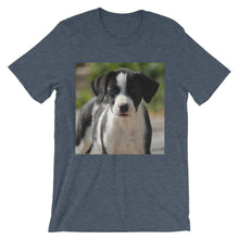 Dog t-shirt