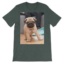 Pug t-shirt