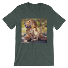 Dog t-shirt