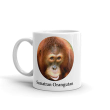 Sumatran Orangutan Mug