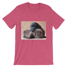 Puppies t-shirt
