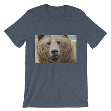 Bear t-shirt