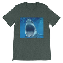 Shark t-shirt