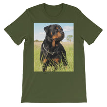 Rottweiler t-shirt