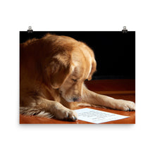 Dog Reading poster