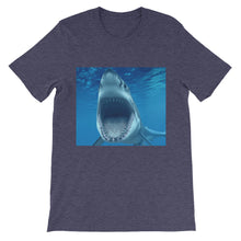 Shark t-shirt