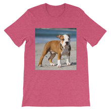Dog t-shirt