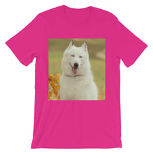 Dog t-shirt
