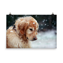 Snow Dog poster