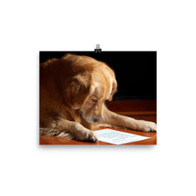 Dog Reading poster