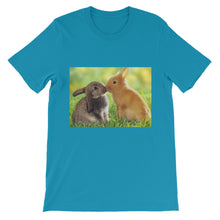 Rabbits t-shirt