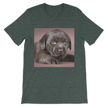 Puppy t-shirt